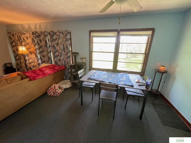 5427 W Hughes St, Lincoln, NE 68524 - carpeted dining space with a ceiling fan, a textured ceiling, and baseboards