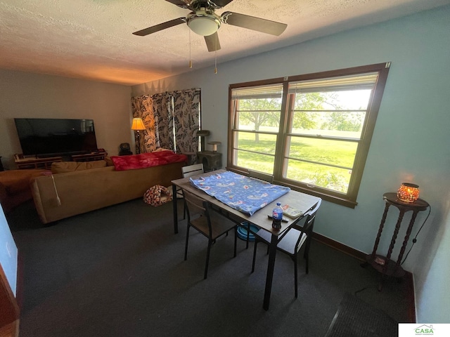 5427 W Hughes St, Lincoln, NE 68524 - carpeted dining room featuring a textured ceiling and a ceiling fan