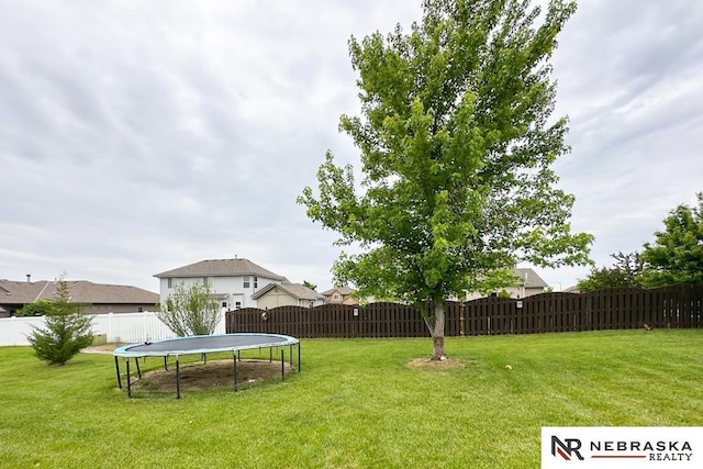 21204 Hampton Dr, Gretna, NE 68028 - view of yard with a trampoline