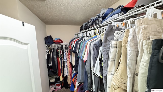 7316 N 142nd Ave, Omaha, NE 68142 - view of spacious closet