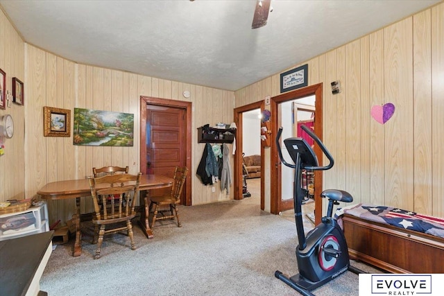 453 W 4th St, Wahoo, NE 68066 - exercise area featuring carpet floors and wood walls