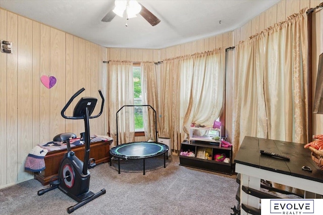 453 W 4th St, Wahoo, NE 68066 - exercise room featuring ceiling fan, carpet flooring, and wooden walls