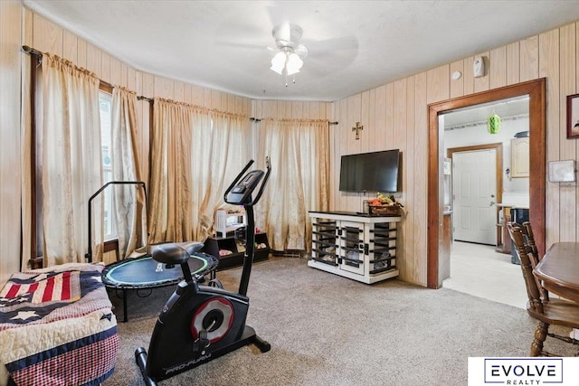 453 W 4th St, Wahoo, NE 68066 - exercise room with carpet, a ceiling fan, and wood walls