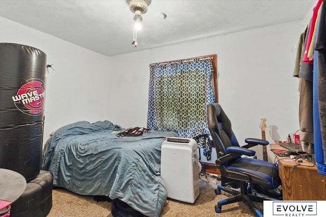 453 W 4th St, Wahoo, NE 68066 - carpeted bedroom featuring a desk