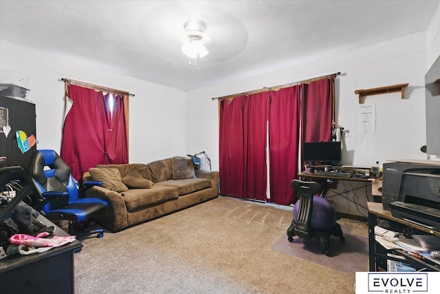 453 W 4th St, Wahoo, NE 68066 - living area with carpet