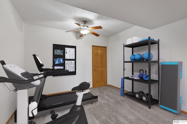 14906 Hanover St, Bennington, NE 68007 - workout room with baseboards, a ceiling fan, and carpet floors