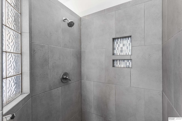 14906 Hanover St, Bennington, NE 68007 - full bathroom with a tile shower