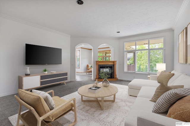 14906 Hanover St, Bennington, NE 68007 - carpeted living room with ornamental molding, baseboards, arched walkways, and a premium fireplace