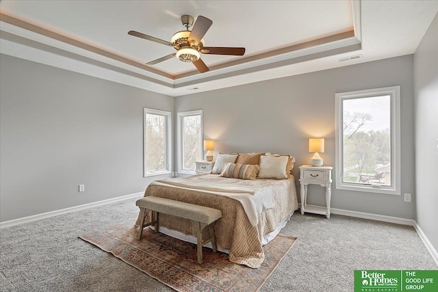16831 Chandler St, Omaha, NE 68136 - bedroom featuring a raised ceiling, carpet, and multiple windows