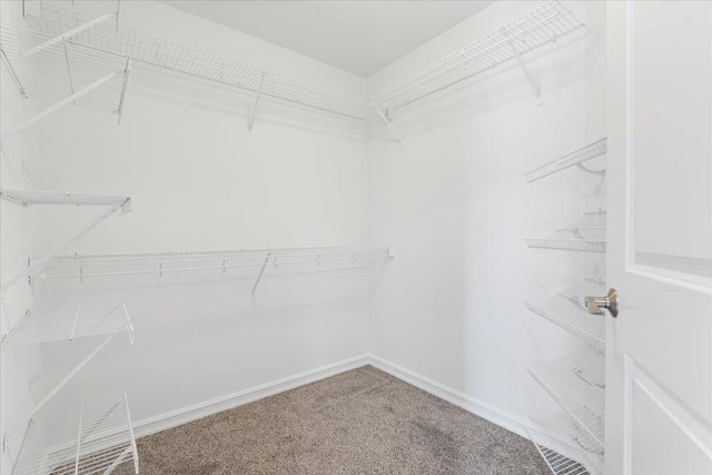 16831 Chandler St, Omaha, NE 68136 - spacious closet with carpet flooring