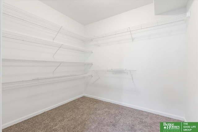 16831 Chandler St, Omaha, NE 68136 - walk in closet with carpet