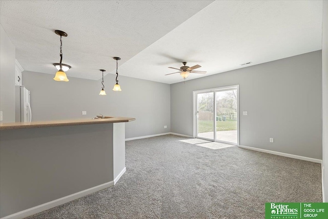 16831 Chandler St, Omaha, NE 68136 - unfurnished living room featuring a ceiling fan, carpet flooring, baseboards, a textured ceiling, and a sink