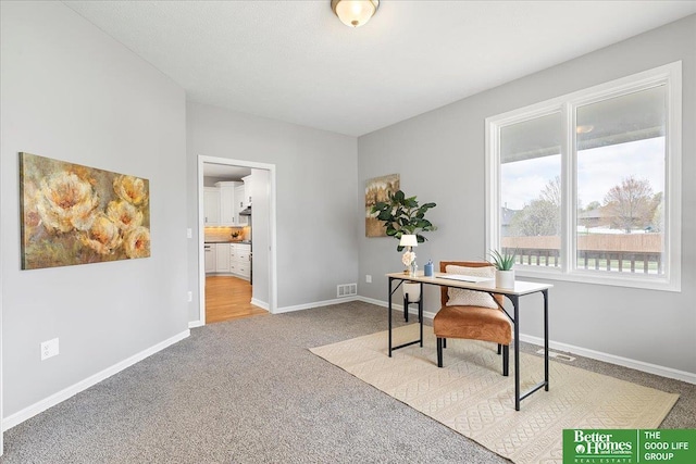16831 Chandler St, Omaha, NE 68136 - home office with carpet floors and baseboards