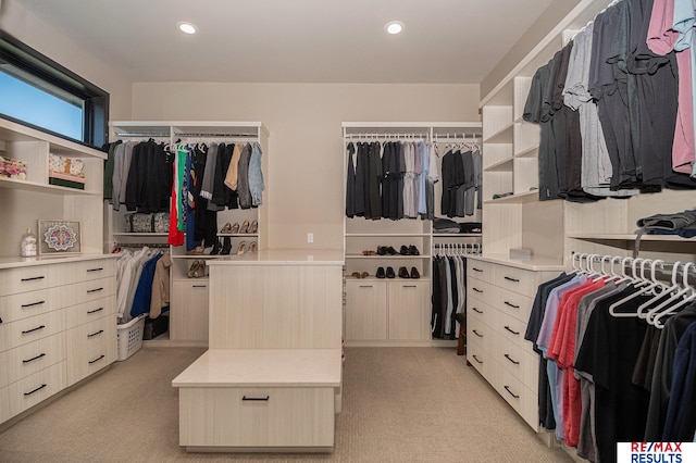 1520 S 218th St, Elkhorn, NE 68022 - spacious closet with light carpet