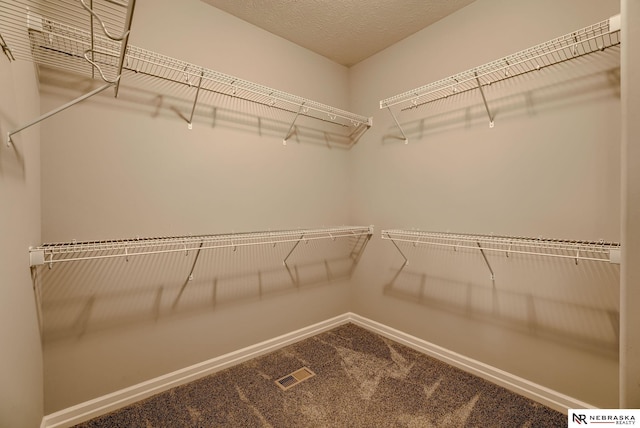 11051 Edgewater Dr, Papillion, NE 68046 - spacious closet with carpet