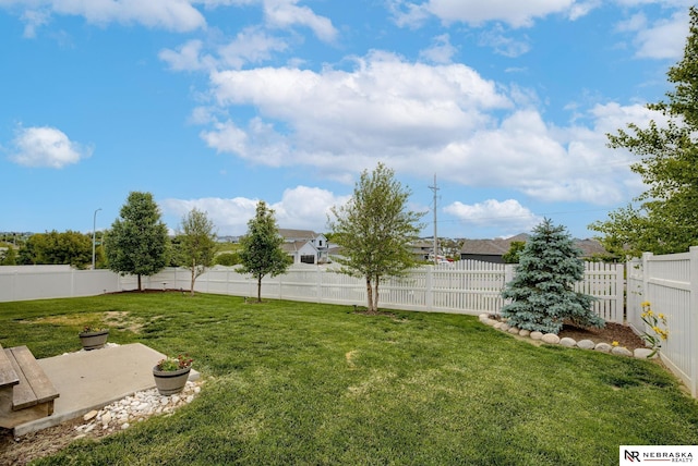 11051 Edgewater Dr, Papillion, NE 68046 - view of yard