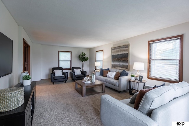 12212 Leavenworth Rd, Omaha, NE 68154 - view of carpeted living area