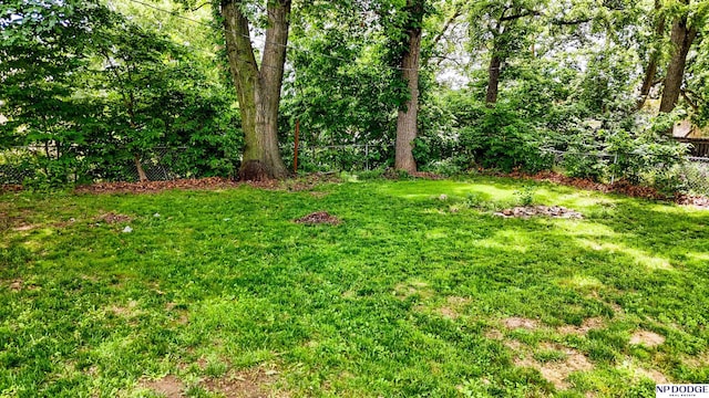3185 Stone Ave, Omaha, NE 68111 - view of yard