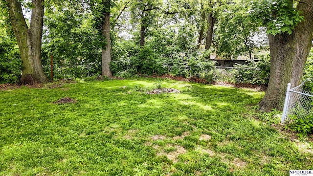 3185 Stone Ave, Omaha, NE 68111 - view of yard