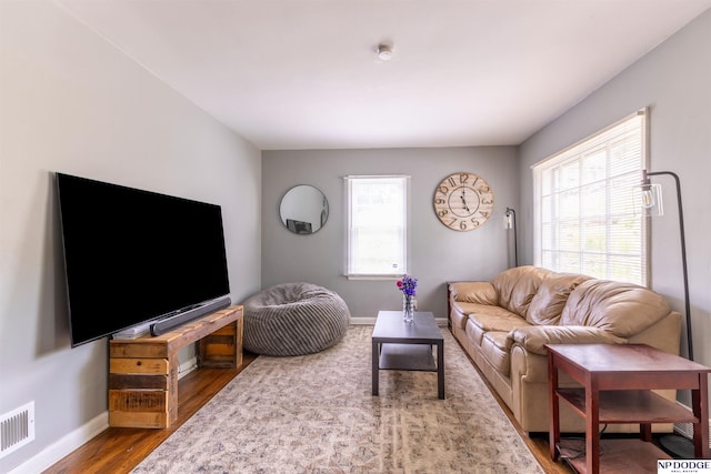 3185 Stone Ave, Omaha, NE 68111 - living room featuring plenty of natural light, baseboards, and wood finished floors