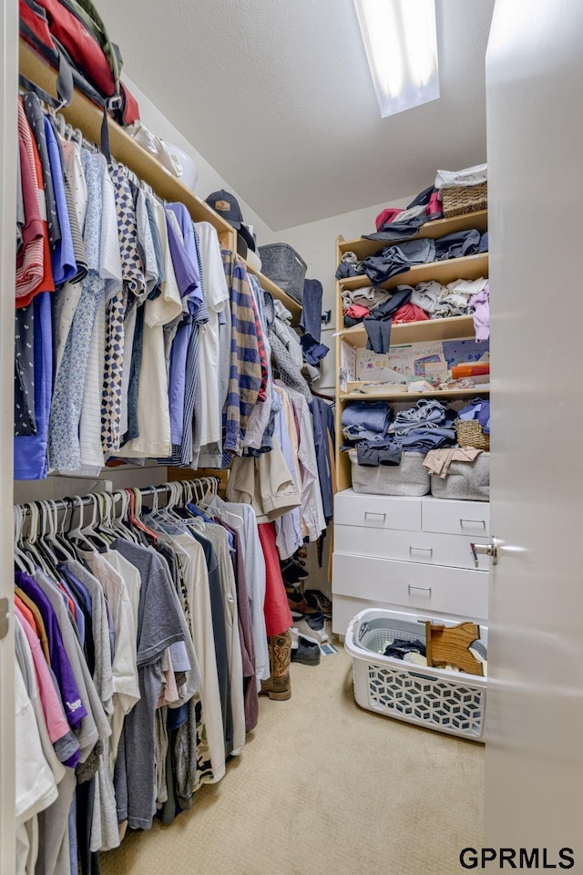 6500 Pheasant Run Ct, Lincoln, NE 68516 - walk in closet featuring carpet