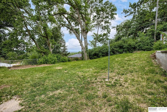 3121 State St, Omaha, NE 68112 - view of yard
