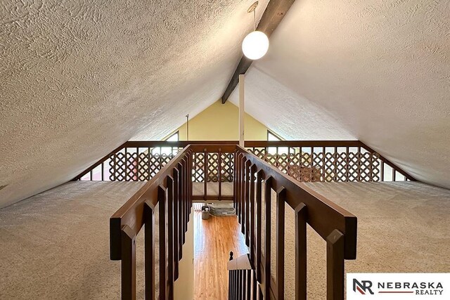2203 Beaver Lake Blvd, Plattsmouth, NE 68048 - stairs with a textured ceiling, wood finished floors, and carpet floors
