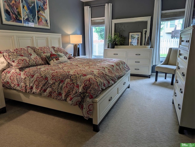 948 S 183rd St, Elkhorn, NE 68022 - bedroom with light colored carpet