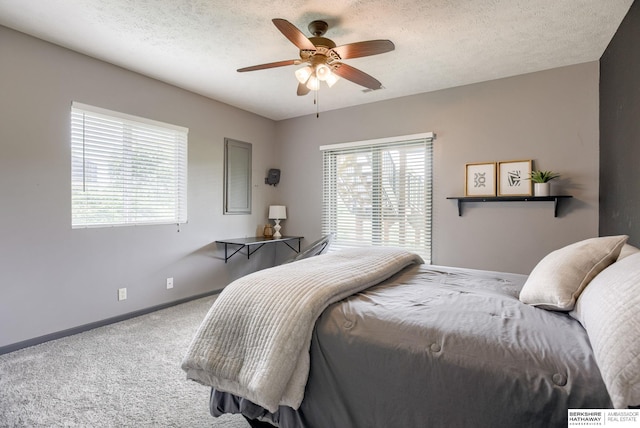 9711 S 176th St, Omaha, NE 68136 - carpeted bedroom featuring baseboards, a ceiling fan, and a textured ceiling