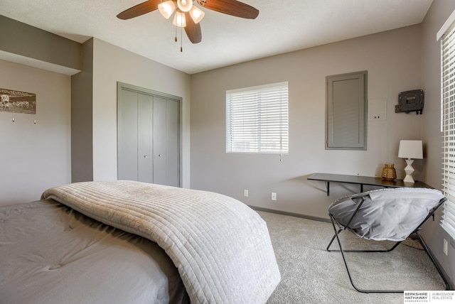 9711 S 176th St, Omaha, NE 68136 - carpeted bedroom featuring a closet, multiple windows, a ceiling fan, and baseboards