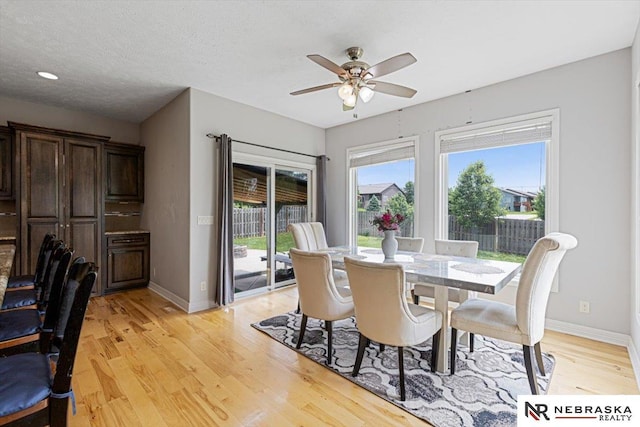 18402 Polk St, Omaha, NE 68135 - dining area with light wood finished floors, ceiling fan, and baseboards