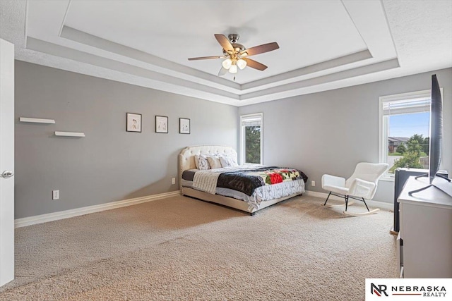 18402 Polk St, Omaha, NE 68135 - carpeted bedroom with a raised ceiling, baseboards, multiple windows, and a ceiling fan
