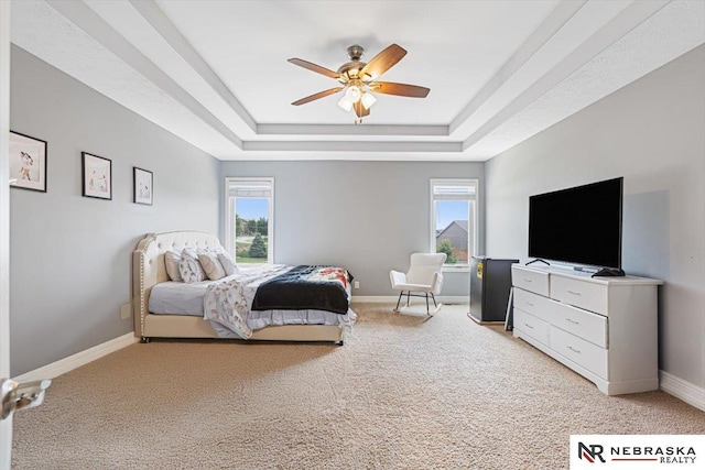 18402 Polk St, Omaha, NE 68135 - bedroom with a raised ceiling, light colored carpet, and baseboards