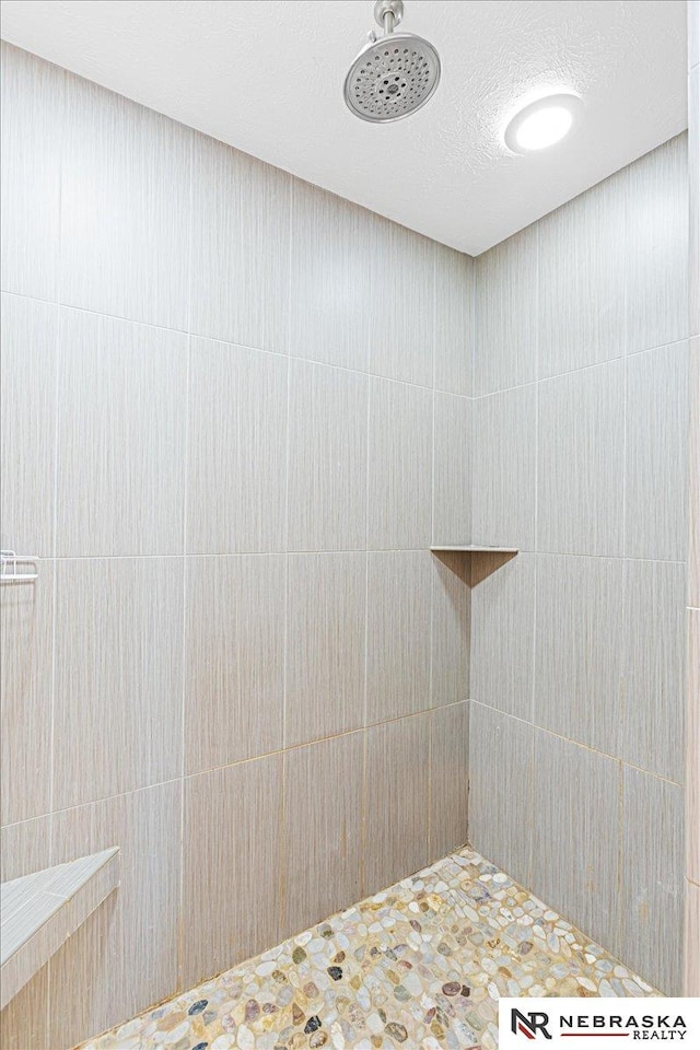 18402 Polk St, Omaha, NE 68135 - bathroom featuring a tile shower