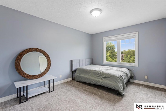 18402 Polk St, Omaha, NE 68135 - carpeted bedroom with a textured ceiling and baseboards
