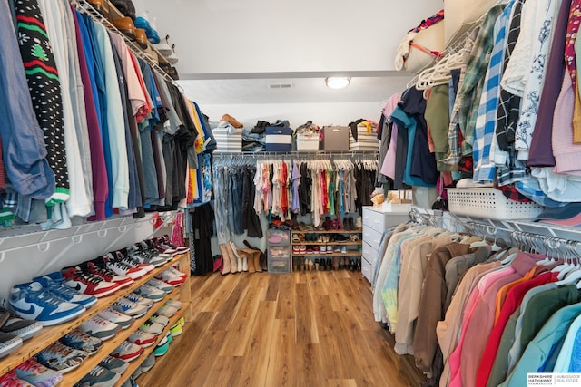 4706 S 187th Ave, Omaha, NE 68135 - walk in closet featuring wood finished floors