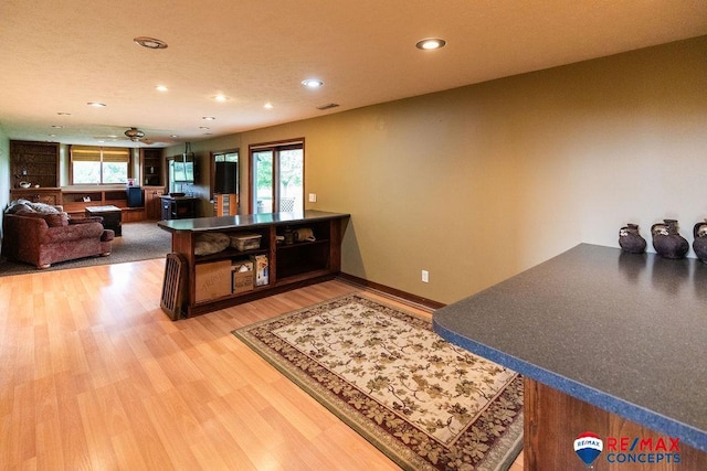 29300 S Golden Pond Rd, Firth, NE 68358 - kitchen featuring recessed lighting, light wood-type flooring, plenty of natural light, and ceiling fan