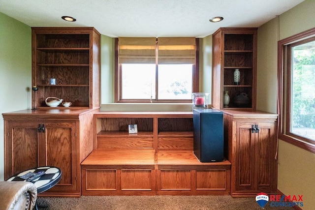 29300 S Golden Pond Rd, Firth, NE 68358 - view of carpeted home office