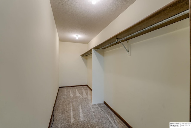 1115 Arbor Ridge Dr, Council Bluffs, IA 51503 - walk in closet featuring light carpet