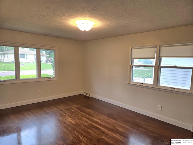 713 Janes View St, Papillion, NE 68046 - spare room featuring plenty of natural light, dark wood-style flooring, baseboards, and a textured ceiling