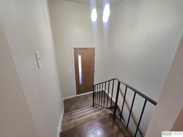 713 Janes View St, Papillion, NE 68046 - staircase featuring wood finished floors, a high ceiling, and baseboards