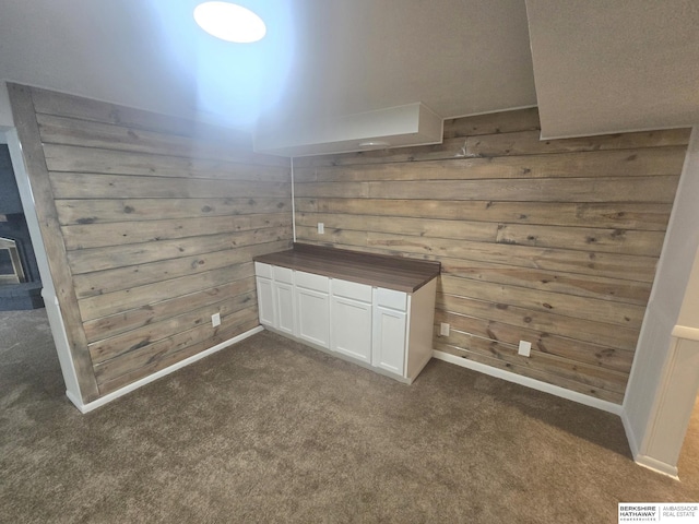 713 Janes View St, Papillion, NE 68046 - detailed view of wooden walls, carpet, and baseboards