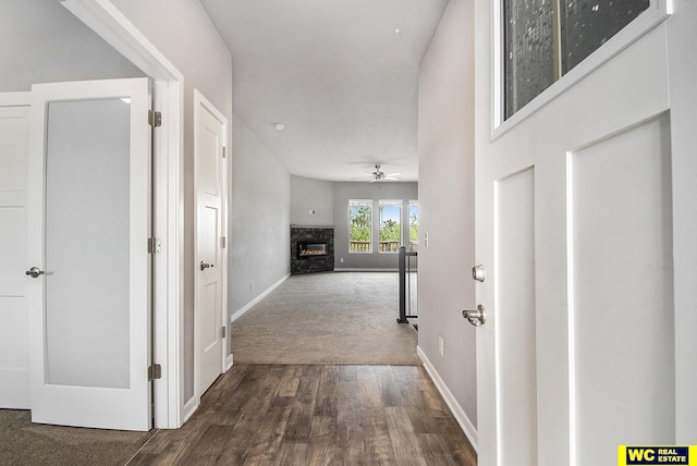 17820 Rampart St, Omaha, NE 68136 - corridor featuring baseboards, dark wood-type flooring, and dark colored carpet
