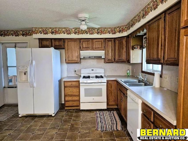64070 67th Hwy, Peru, NE 68421 - kitchen with under cabinet range hood, white appliances, a sink, a ceiling fan, and light countertops