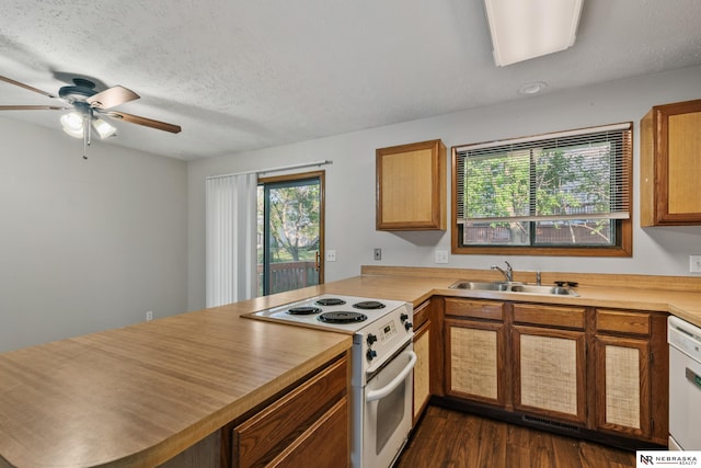 2211 Scarborough Dr, Bellevue, NE 68123 - kitchen featuring white appliances, a sink, a peninsula, a ceiling fan, and dark wood-style floors
