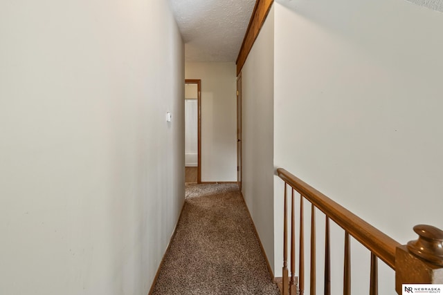 2211 Scarborough Dr, Bellevue, NE 68123 - hallway with a textured ceiling, carpet, and an upstairs landing