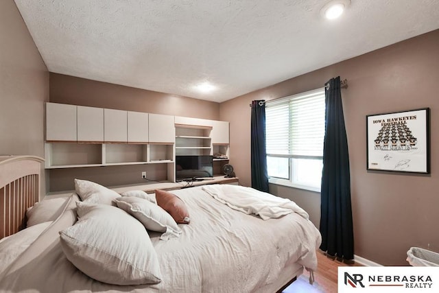 15708 Leavenworth St, Omaha, NE 68118 - bedroom with light wood-style flooring, baseboards, and a textured ceiling
