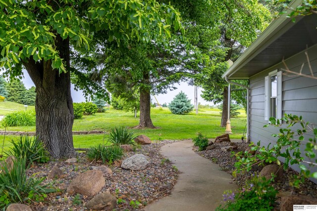 13205 N 192nd St, Bennington, NE 68007 - view of grassy yard