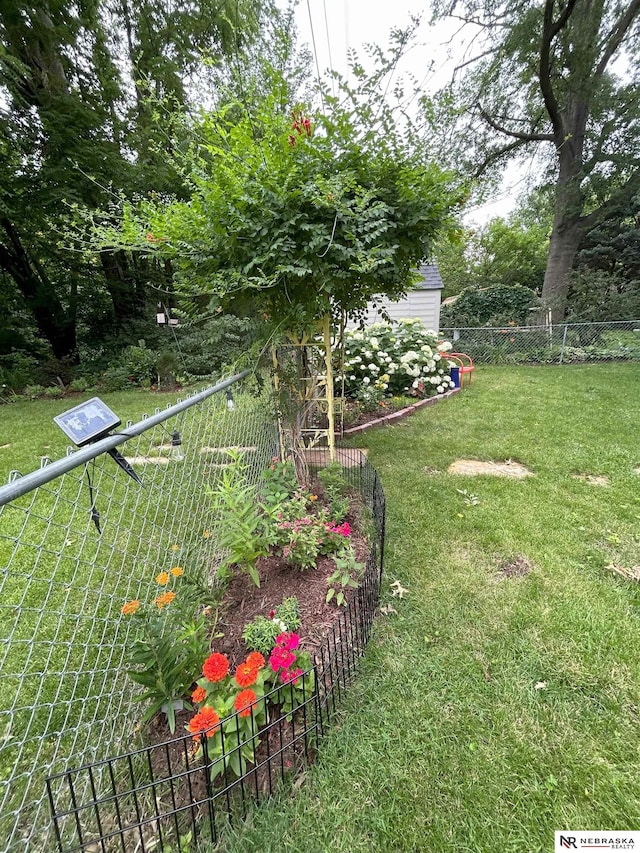 3840 X St, Lincoln, NE 68503 - view of yard