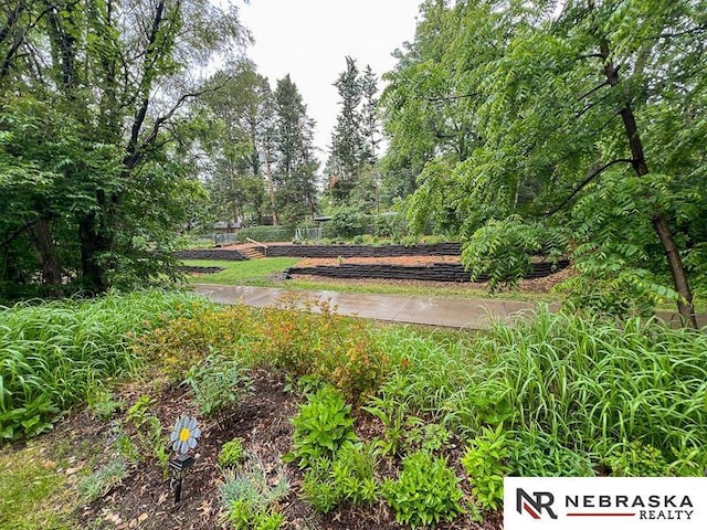 3840 X St, Lincoln, NE 68503 - view of yard